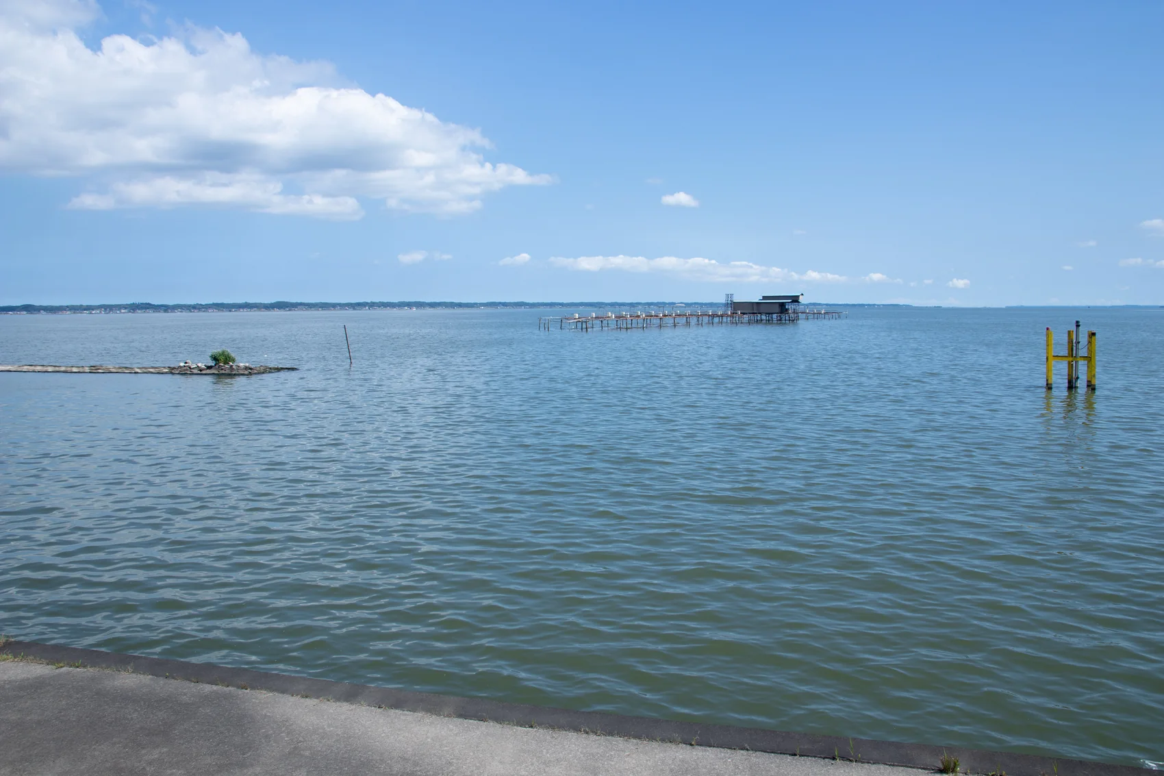 歩崎公園付近の霞ヶ浦の湖面